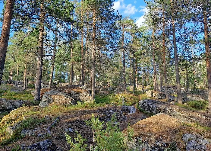 Δωμάτια σε οικογενειακή κατοικία In Polar Circle