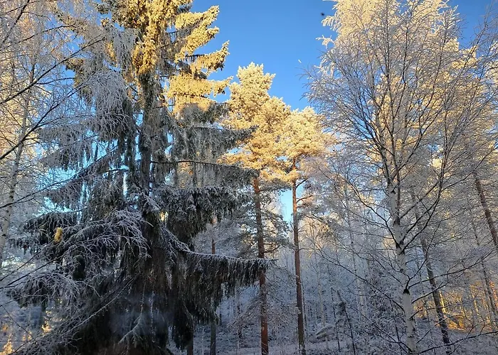 In Polar Circle 民宿 *