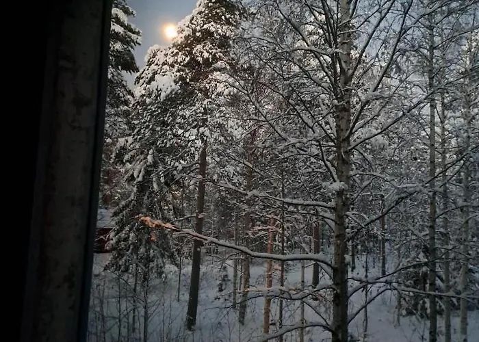 In Polar Circle 罗瓦涅米